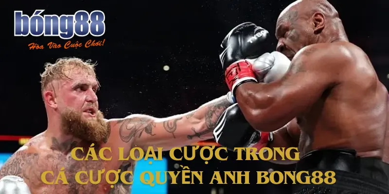 Các loại cược trong cá cược quyền anh Bong88