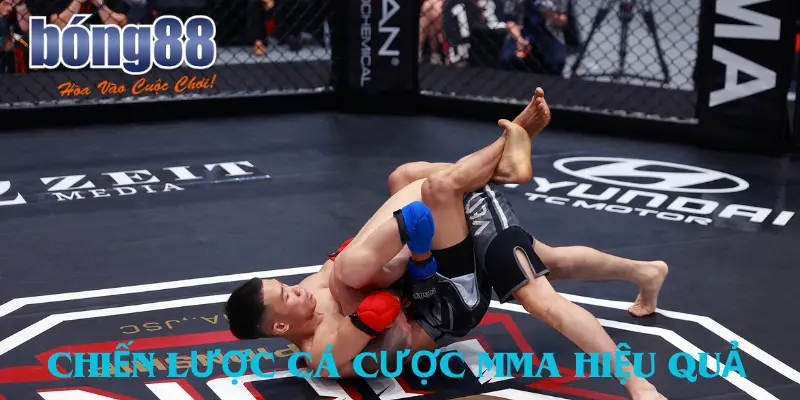 Chiến lược cá cược MMA hiệu quả